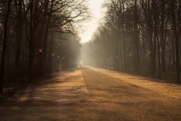 stock image Morning in Berlin public park