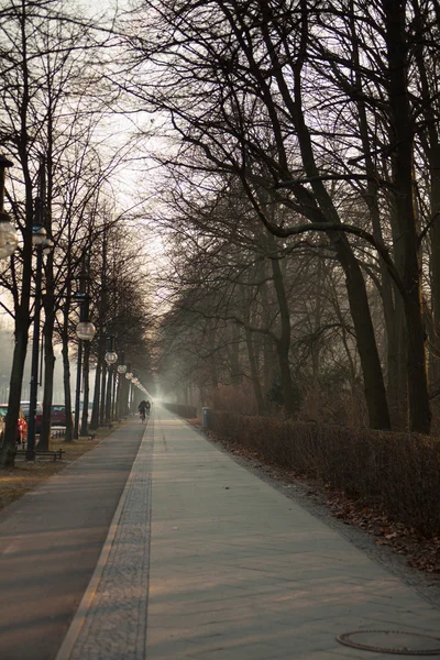 Camino peatonal a lo largo del parque Tiergarten — Foto de Stock