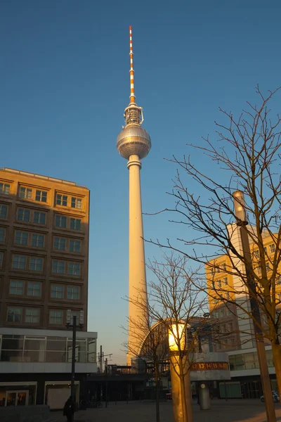 Телевізійна вежа в Берліні на площі Александерплац, Німеччина — стокове фото