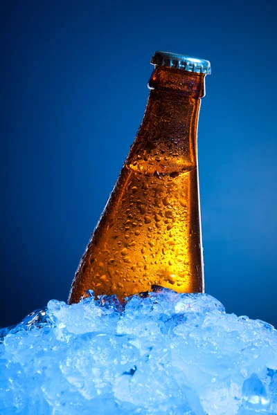 Beer bottle in ice — Stock Photo, Image