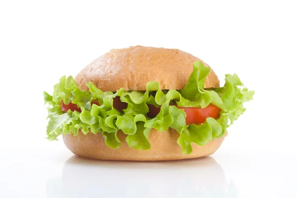 Vegetarian healthy hamburger — Stock Photo, Image