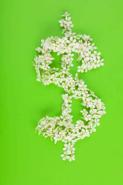 Sinal de dólar feito de flores brancas brancas — Fotografia de Stock