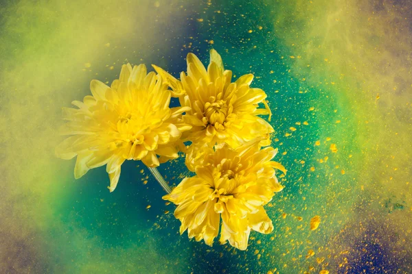 Pintura big bang y flores — Foto de Stock