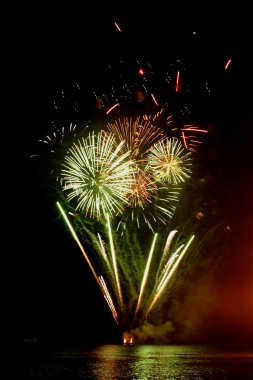 fuegos artificiales de la floración en el agua