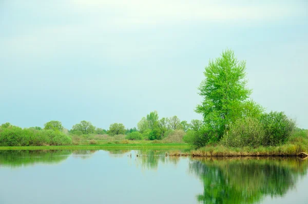 stock image Spring landscape