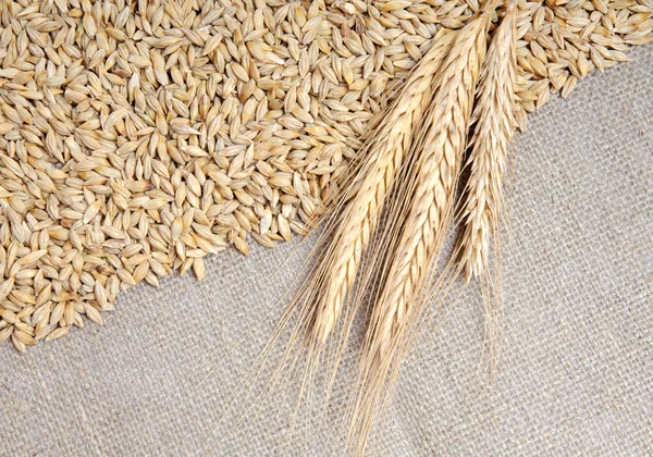 Çuval bezi arka planda tahıllar — Stok fotoğraf