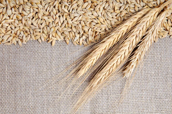 黄麻布の背景に穀物 — ストック写真