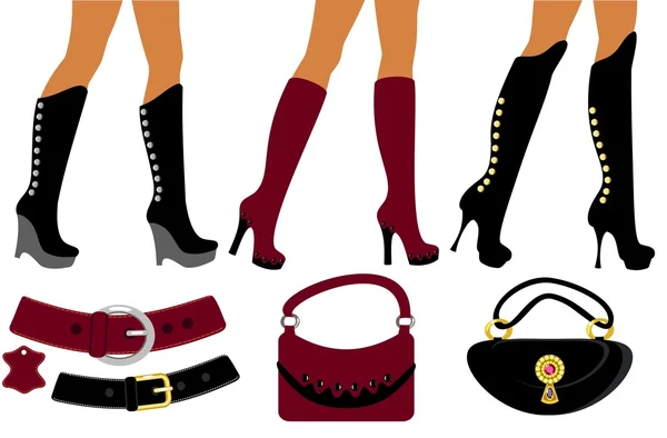 Women's footwear and handbag — Stock Vector