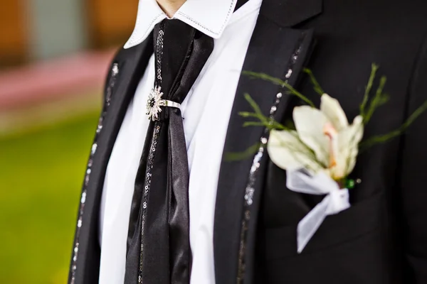 Groom with the boutonniere — Stock Photo, Image