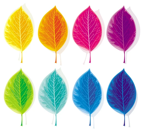 Conjunto de folhas coloridas — Vetor de Stock