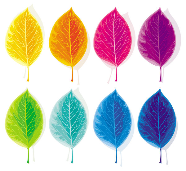 Set of colored leaves