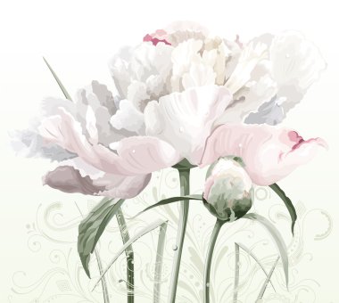 Картина, постер, плакат, фотообои "цветок и бутон белого пиона картины одуванчики ирисы", артикул 6578573
