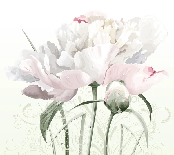 白牡丹の花と蕾 — ストックベクタ