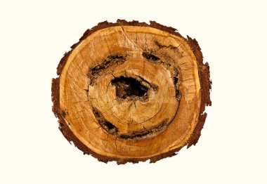 Smile-shaped log of wood. clipart