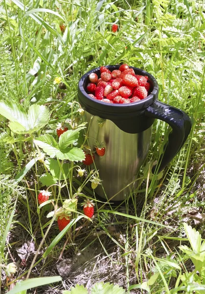 Κούπα με φράουλες — Φωτογραφία Αρχείου