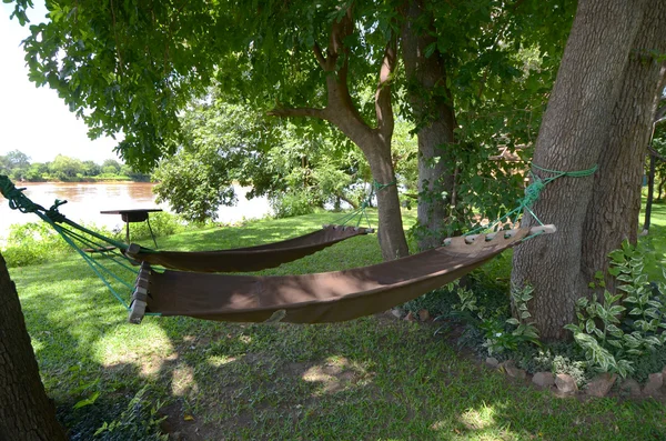 stock image Hammock