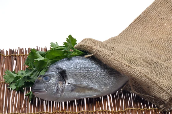 Stock image Fish and parsley