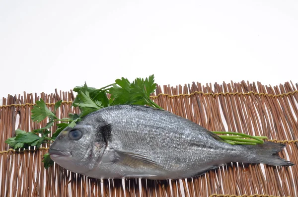 stock image Fish and parsley