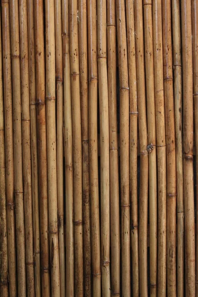 stock image Bamboo wall