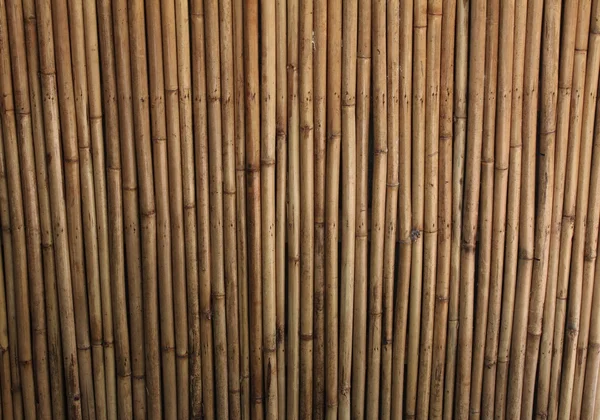 Bambu duvar