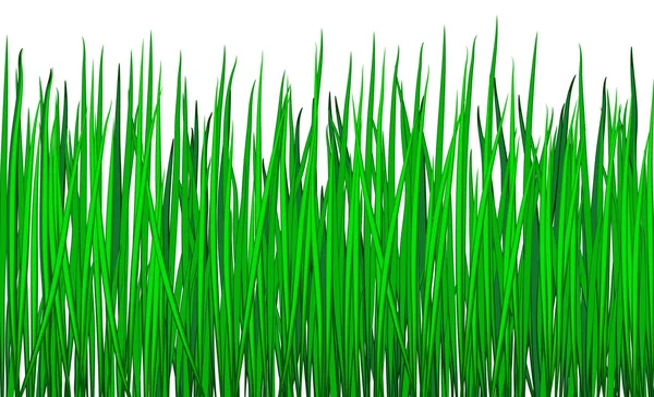 Den sömlösa från ett grönt gräs — Stock vektor