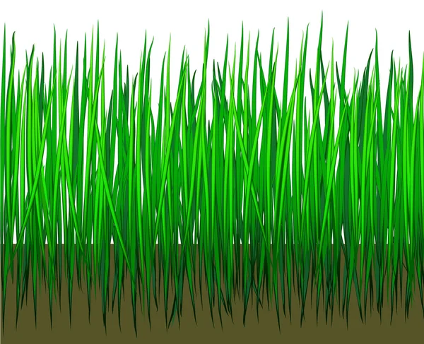 Grass with earth — Stock Vector