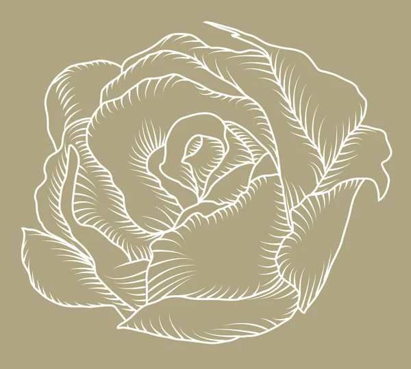 玫瑰剪影 — 图库矢量图片