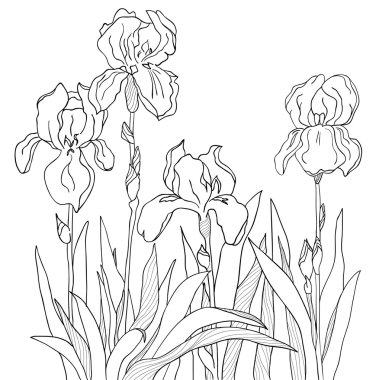 The sketch from a four flowers clipart