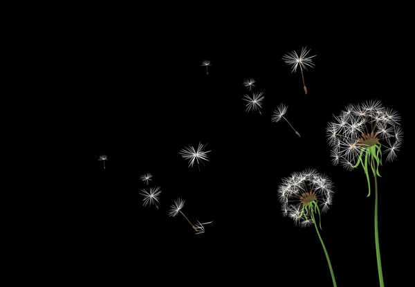 stock image Flowers