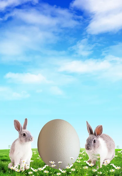 Easter — Stock Photo, Image
