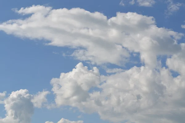 Белое небо — стоковое фото