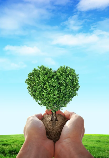 Green hearts — Stock Photo, Image