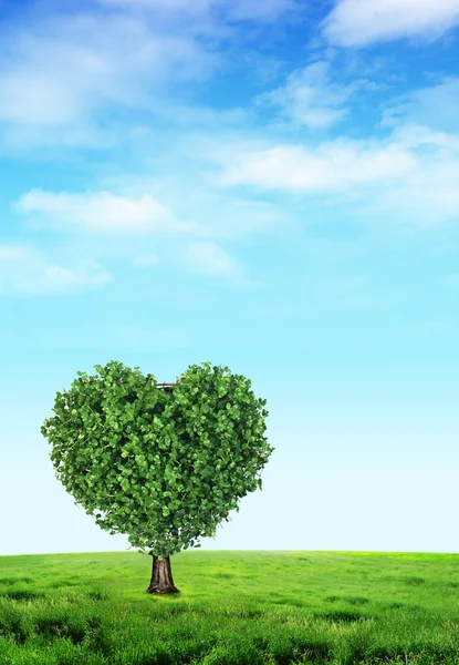 Corações verdes — Fotografia de Stock