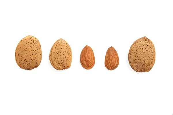 Fem färska mandlar — Stockfoto