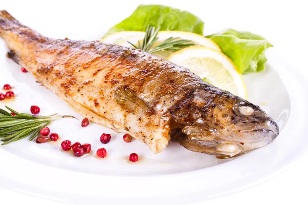 Stock image Grilled trout