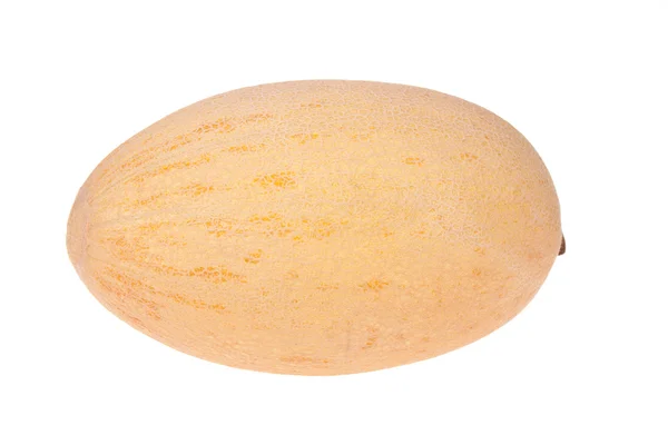 Du melon. Isolé — Photo