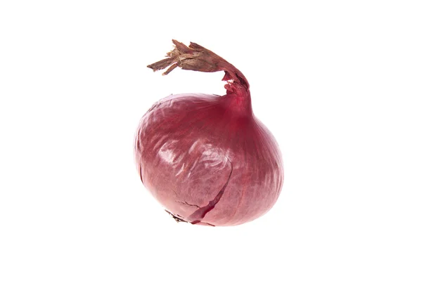 Cebolla roja — Foto de Stock