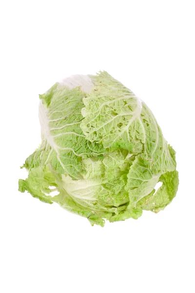 Chinese cabbage — Stock Photo, Image