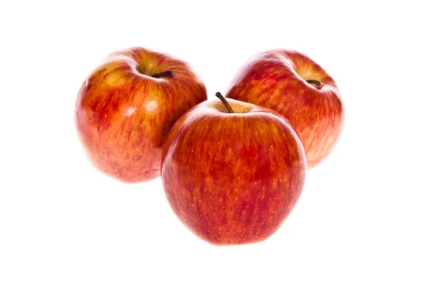 Apel merah — Stok Foto