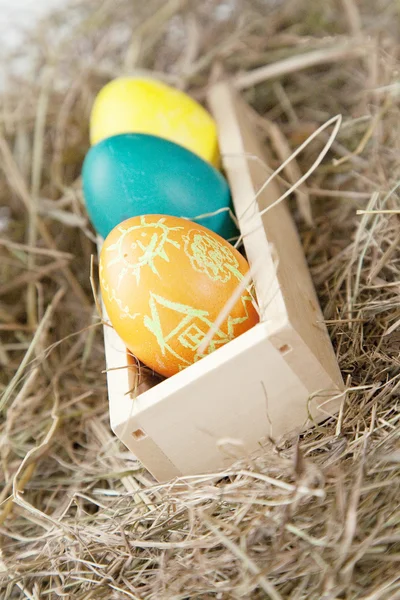 stock image Easter