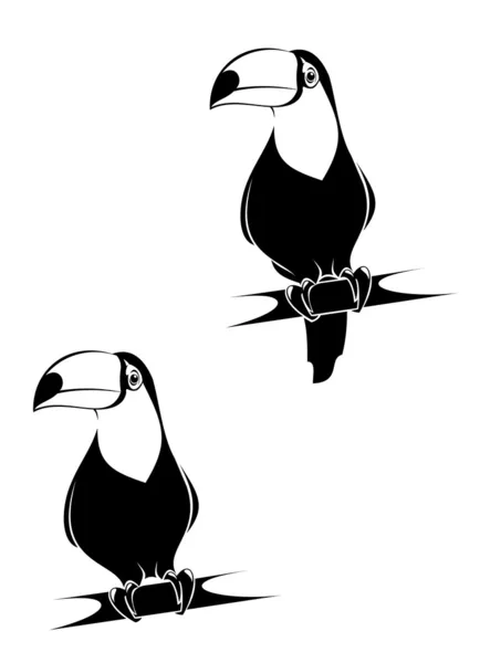 Funny toucan — Stock Vector