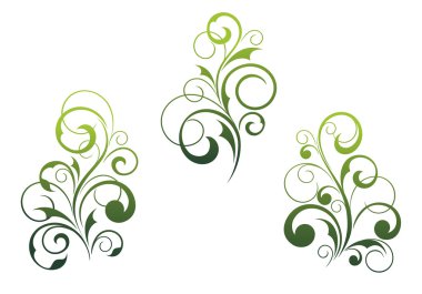 Floral elements and motifs clipart