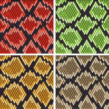 Snake skin clipart