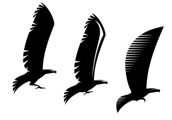 Símbolos de águia heráldica e tatuagem — Vetor de Stock