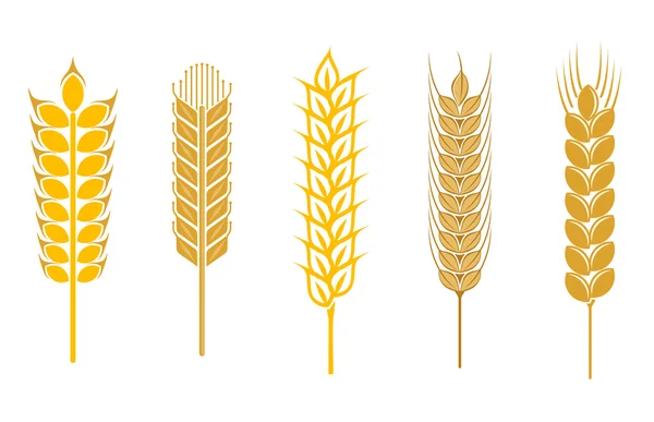Elementos de diseño de cereales — Vector de stock