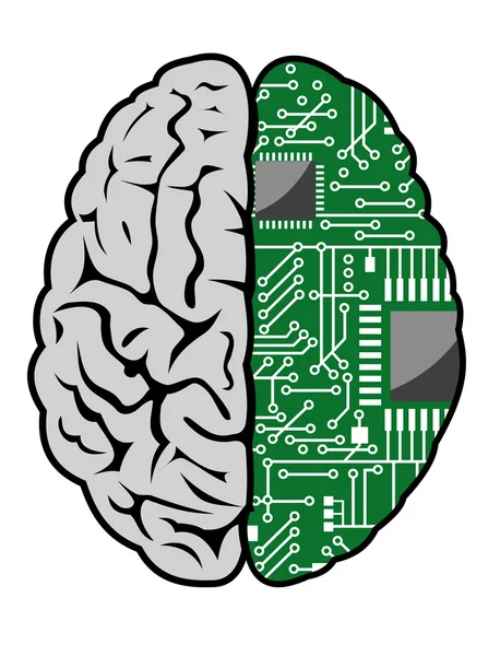 Gehirn und Motherboard — Stockvektor