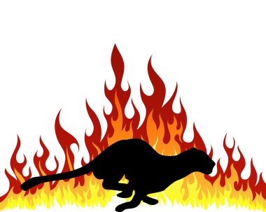 flame puma clipart