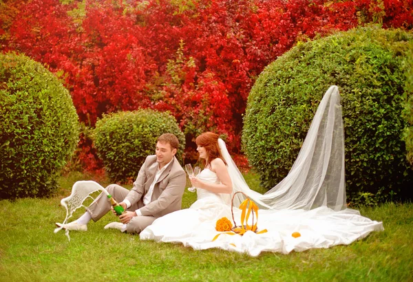 Glada bruden och brudgummen på gräset i parken — Stockfoto