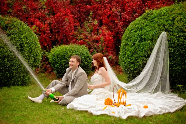 Alegre novia y novio en la hierba en el parque — Foto de Stock
