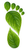 zöld szén-dioxid-lábfej nyomtatvány
